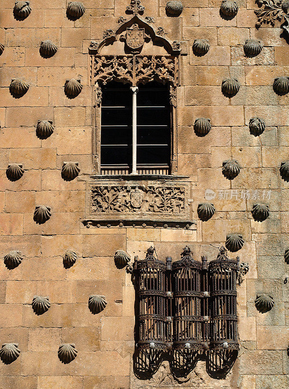 萨拉曼卡的Casa de las Conchas